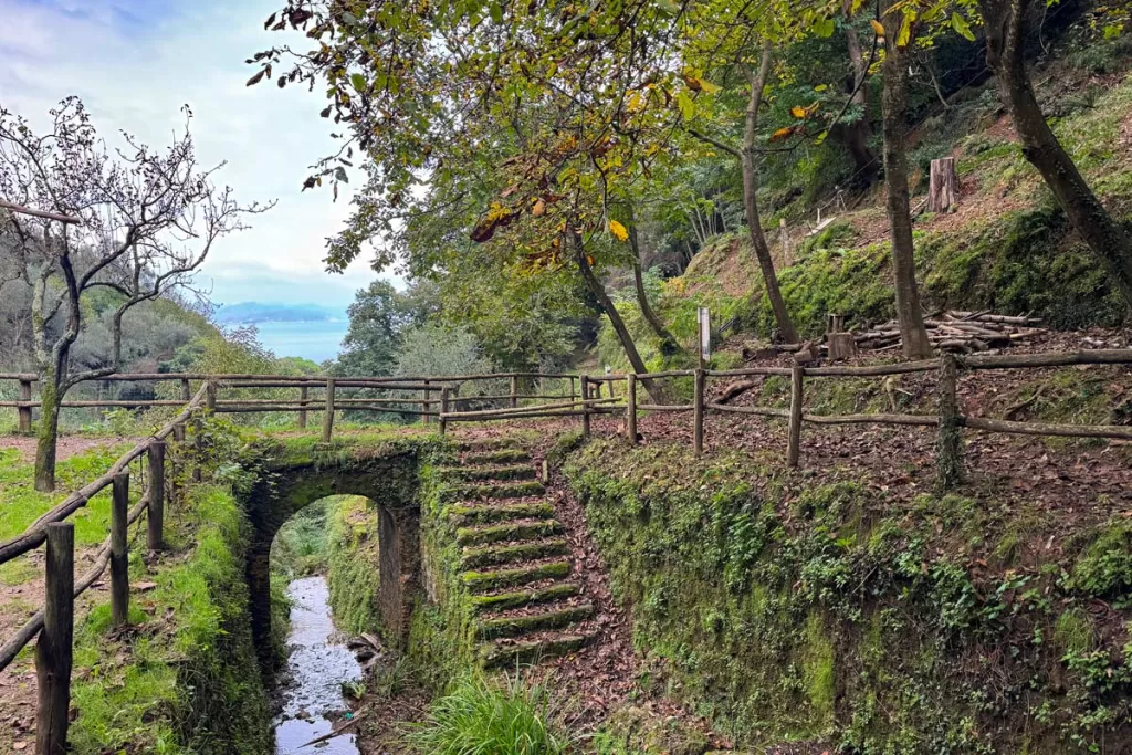 Wooded footpaths and mossy stairs cross over a creek bed in Portofino Regional Park. With over 80 km of trails to explore, the park is one of the more popular things to do in Portofino, Italy.