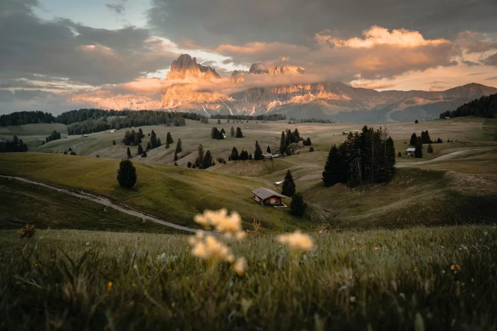 Sunset warms the lighting over the rolling hills of Alpe di Siusi meadow in Italy's Dolomites, with jagged mountain peaks rising above clouds in the distance.