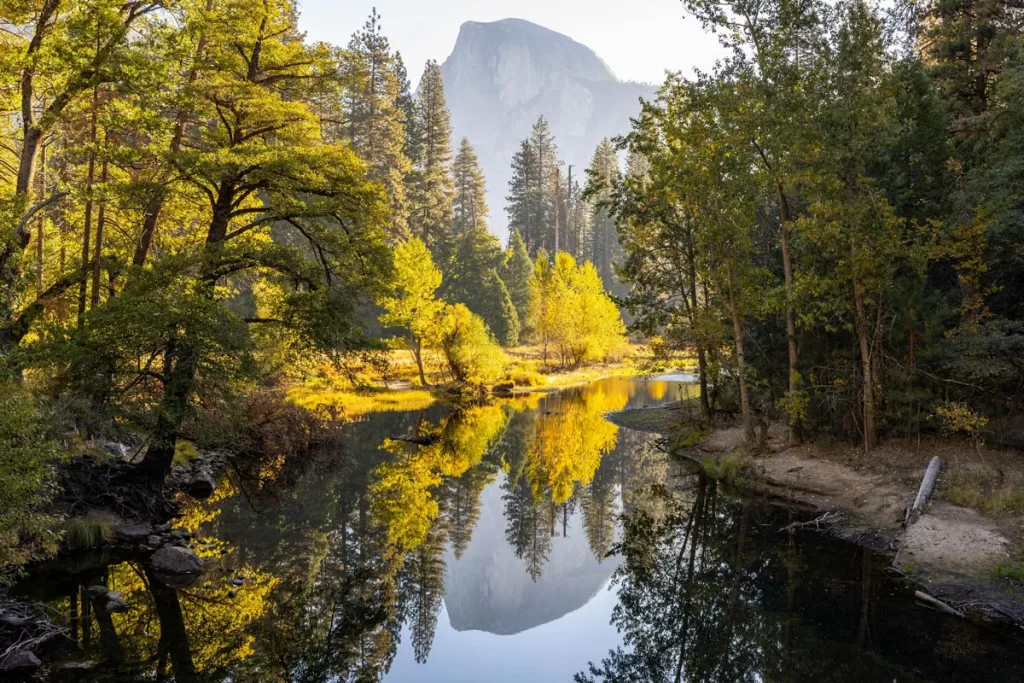Half Dome is reflected in the still waters of the Merced River, flanked by riverbanks with the first colors of autumn, in Yosemite National Park.