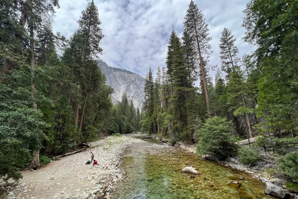 A solitary figure walks along the rocky bed of Bubbs Creek in Kings Canyon National Park, surrounded by tall pine trees.