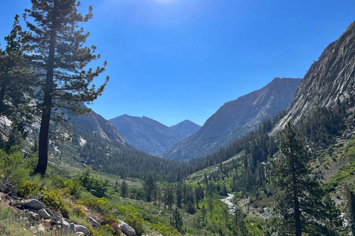 A small stream flows through the forested valley of Castle Domes Meadow on the Rae Lakes Loop in Kings Canyon National Park.