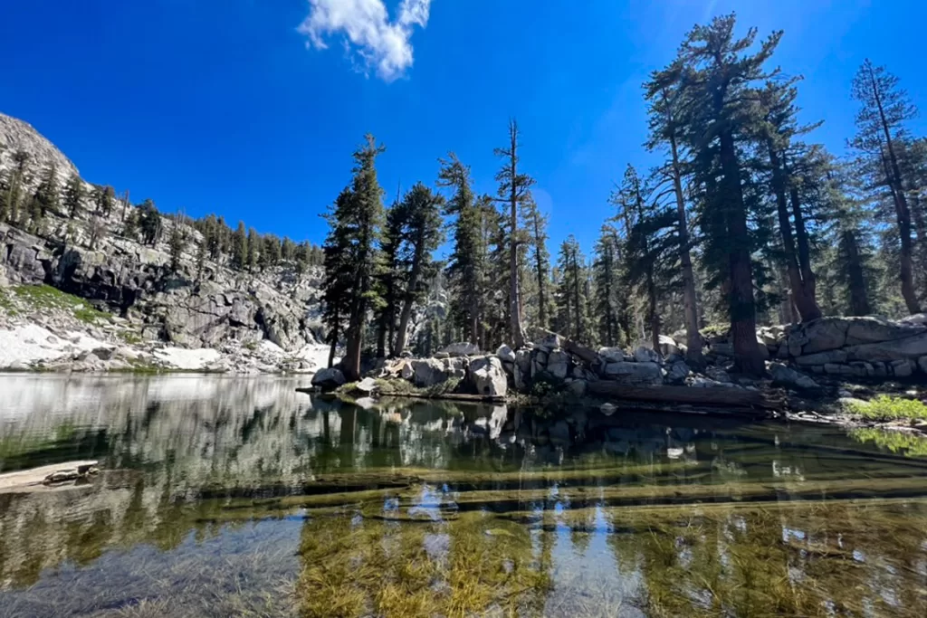 A sunken log is visible in the clear waters of Heather Lake in Sequoia National Park's backcountry.