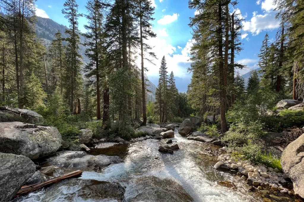 Bubbs Creek flows along a rocky, forested shore in Kings Canyon National Park.