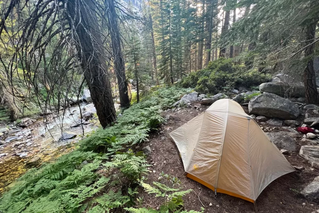 A backpacking tent sits amidst ferns on the forested riverbank of Bubbs Creek in Kings Canyon National Park