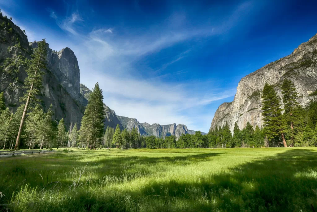 A lush, green meadow in Yosemite National Park, surrounded by tall pine trees and granite peaks.