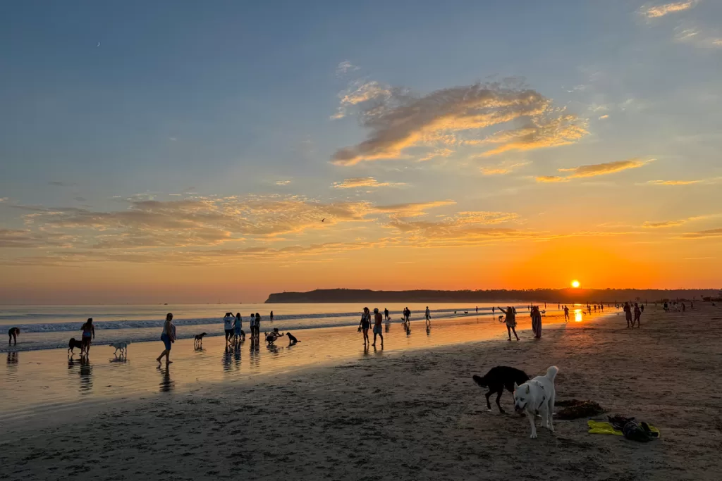 Dogs run along the beach at sunset in Coronado, California.