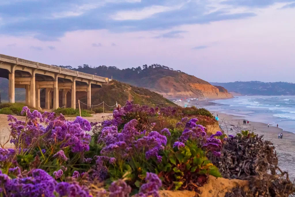 Sunset over the bluffs of Torrey Pines State Beach in Del Mar, California