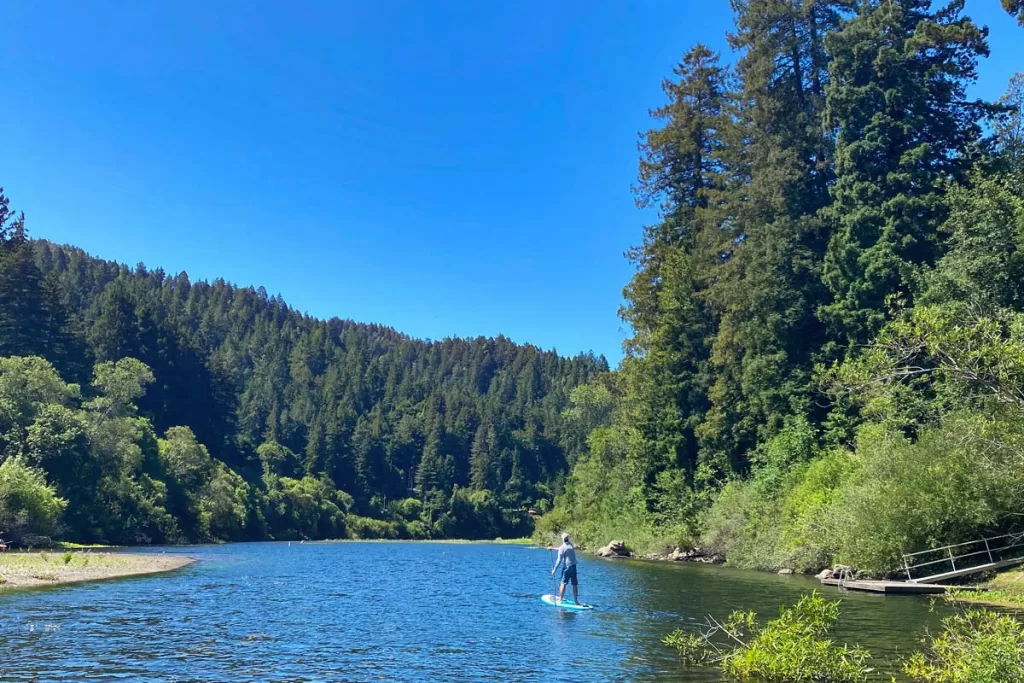 A man paddle boards down the Russian River near Monte Rio in Sonoma County, California.