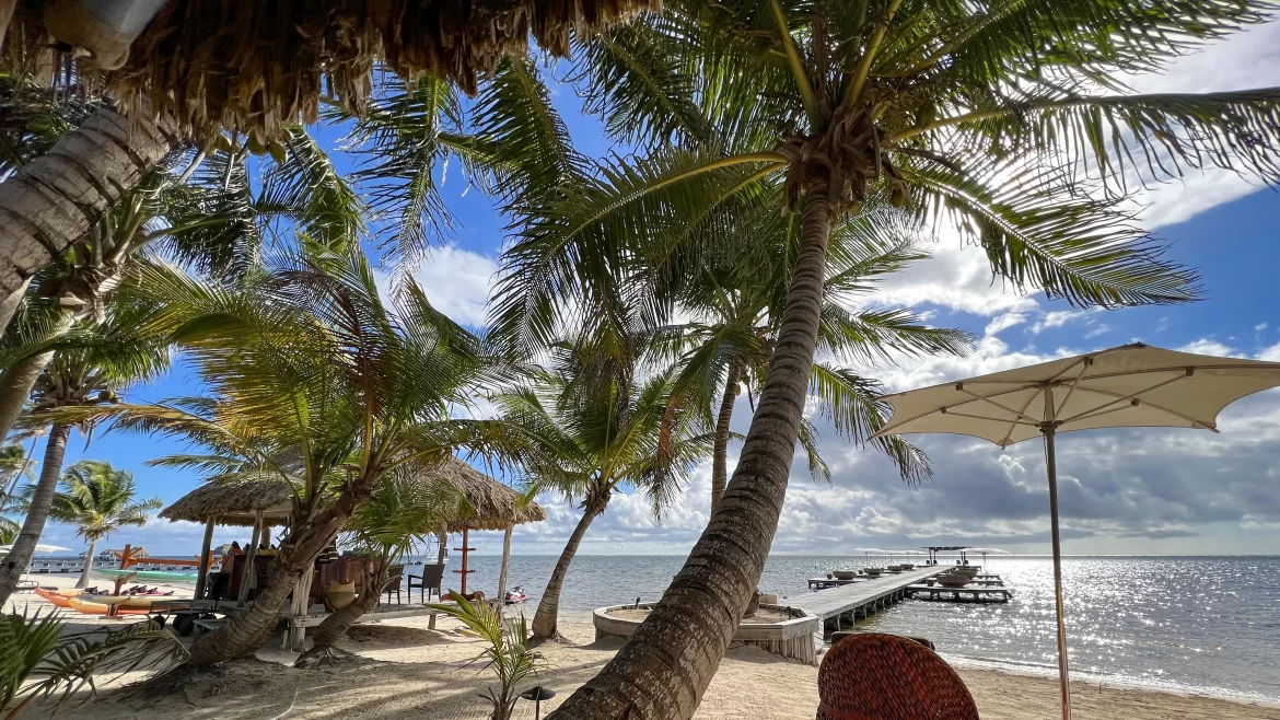 Where_to_Go_in_Belize Tropical palms line the beaches of Ambergris Caye, Belize. The island is one of the most popular answers of where to go in Belize.
