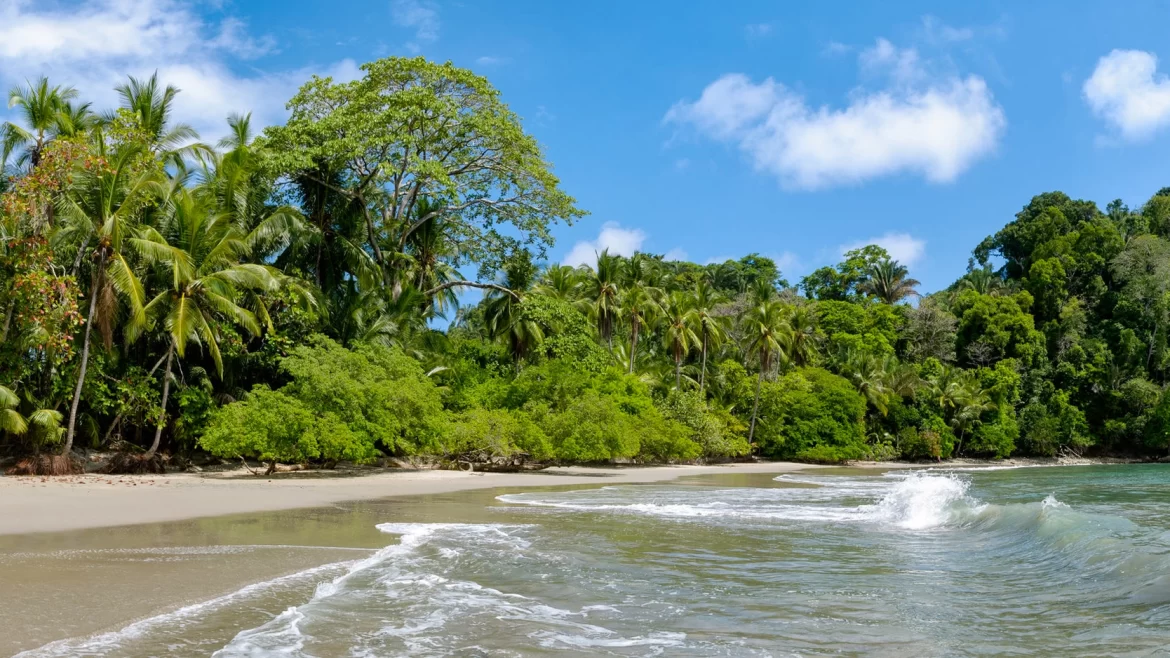 Azure waves lap a sandy, palm-lined beach in Costa Rica's Manuel Antonio National Park. The park is a popular destination on a 7 day Costa Rica itinerary.