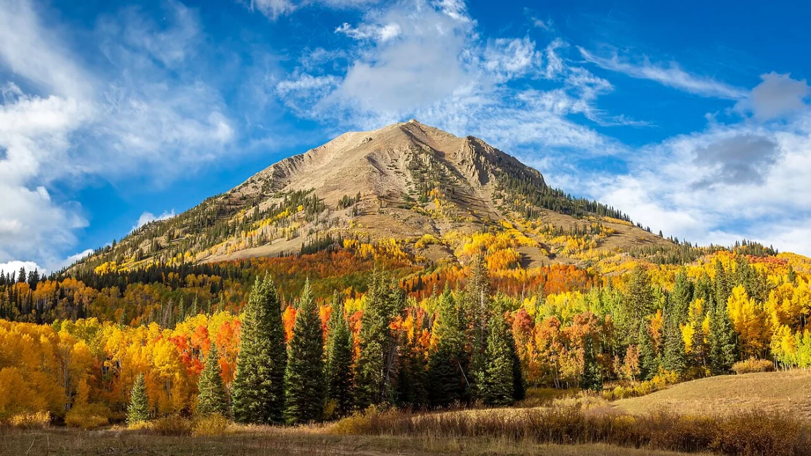 Fall foliage lines the base of a mountaintop in Crested Butte, Colorado.